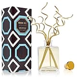 HOUZZ Interior Lemon Verbena Essential Oil Reed Diffuser | Lemon Zest & Verbena Blossoms Blended with Vetiver & Natural Lemongrass | Great Housewarming Gift Idea!