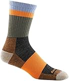 Darn Tough Merino Wool Heady Stripe Micro Crew Light Cushion Socks - Men's Orange Large