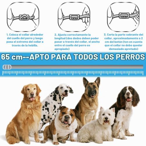 Collar antipulgas para Perros, Impermeable antipulgas y parásitos, 12 Meses de protección 65 cm (Azul-1p) (Azul-2p)