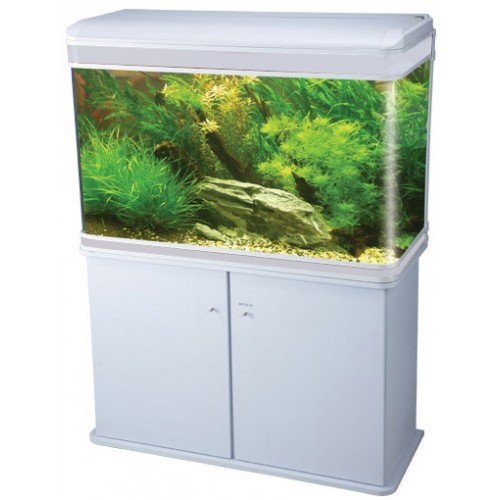 Boyu Aquarium Fish Tank and LED Lights, 84 cm, White Buy