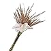 eBoot Floral Stem Wire 18 Gauge Wire 14 Inch, 50 Pack (Dark Green)