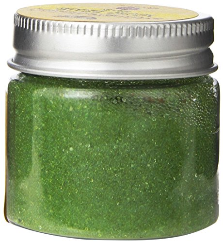 Prima Marketing 962623 Finnabair Art Ingredients Micro Beads, 2 oz, Grass