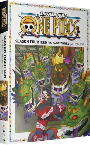 Amazon.com: One Piece - Season 13 Voyage 6 - Blu-ray & DVD