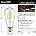 OMAYKEY 10W LED Edison Bulb 100W Equivalent 2700K Warm White Glow 1000LM, E26 Medium Base ST64 Vintage Edison Light Bulbs, 360 Degree Beam Angle, Non-dimmable, Pack of 3
