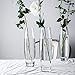 Whole Housewares Clear Glass Bud Vase Set of 4,Big Size Dia 2.5