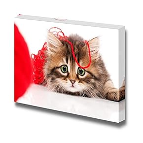 Canvas Prints Wall Art - Cute Kitten | Modern Wall Decor/Home Decoration Stretched Gallery Canvas Wrap Giclee Print. Ready to Hang - 12" x 18"