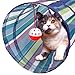 PAWZ Road Cat Tunnels Kitten Tubes Portable Cat Toys With a Lot of Fun Blue