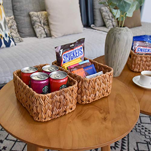 51jjFnKg %2BL 51jjFnKg %2BL