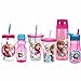Zak Designs Disney Frozen 19 oz. Canning Jar Tumbler, Elsa & Anna