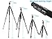 Weifeng Model FT 6662A Tripod with Ball Head and Bag