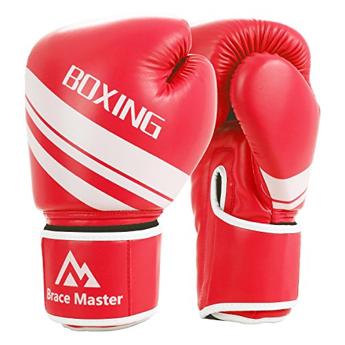 Top 10 Fighting Sports Boxing Gloves of 2018 No Place Called Home