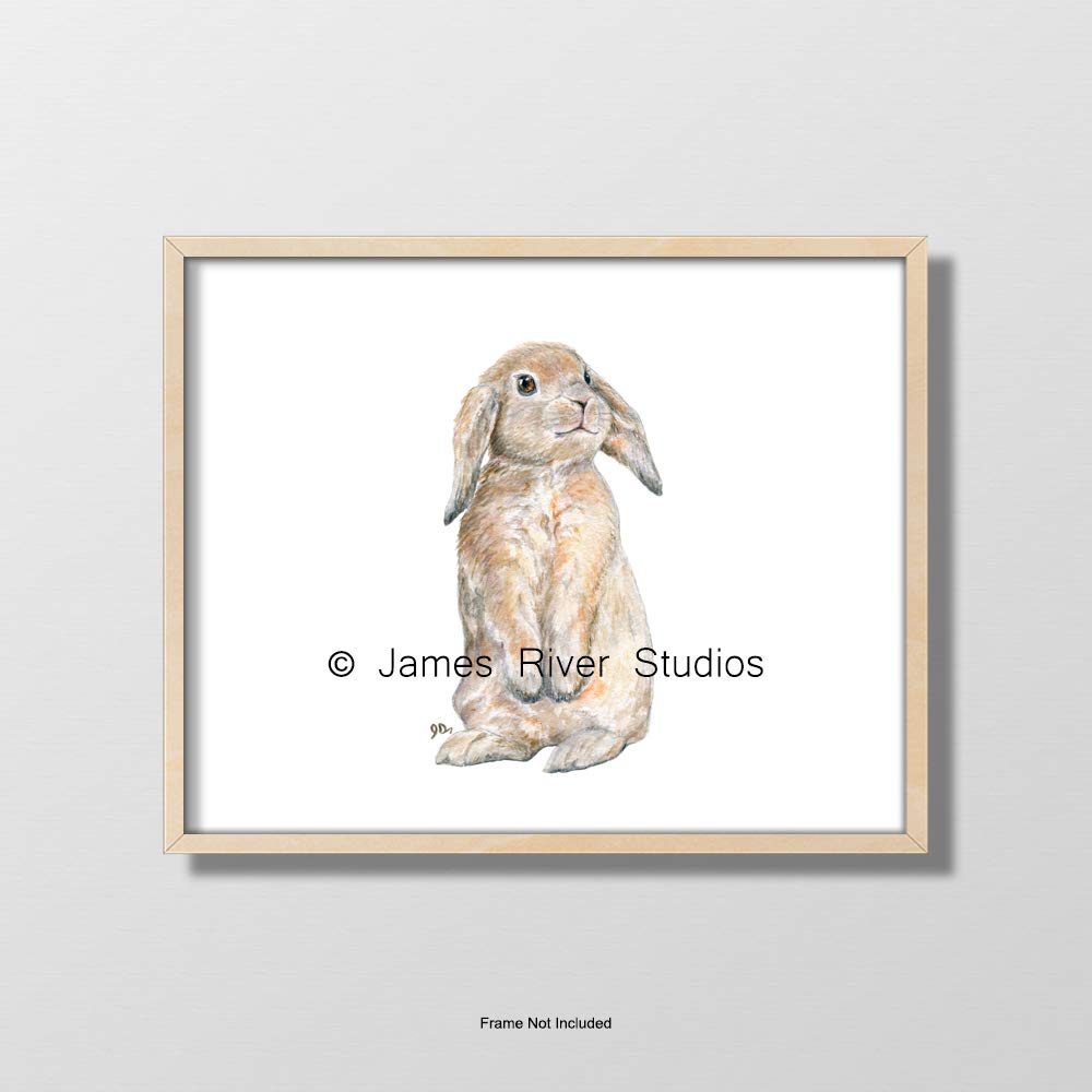 nursery bunny wall art