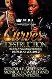 Curves Of Destruction 2: An R&B Soundtrack Anthology (Curves of Destruction: An R&B Soundtrack Anthology)