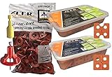 ATR Tile Leveling Alignment System DIY Kit 3mm Cross Floors and Walls (301 pieces)
