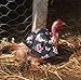 Louise's Country Closet Standard Size 5 Pack Chicken Saddle Complete Protection for Wings and Back and Made with Durable Denim