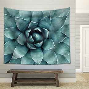 Sharp Pointed Agave Plant Leaves - Fabric Wall Tapestry Home Decor - 51x60 inches