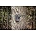 Moultrie A-40i Game Camera (2018) | A-Series| 14 MP | 0.7 S Trigger Speed | 720p Video | Compatible with Moultrie Mobile (sold separately)