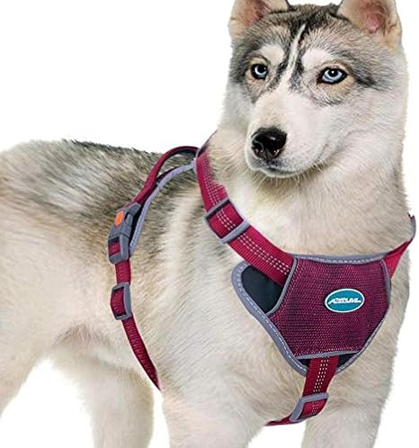 sled dog harness amazon
