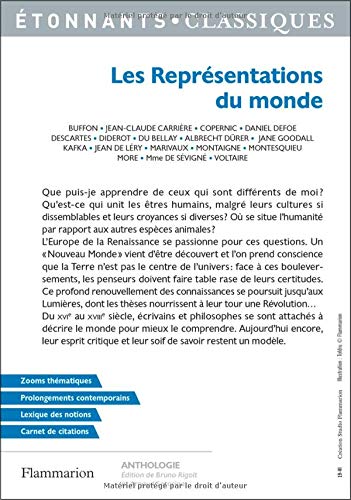 Amazon Fr Les Representations Du Monde Rigolt Bruno Sorosina Arnaud Livres