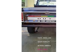 Out in the Country: Youth, Media, and Queer Visibility in Rural America (Intersections, 2)