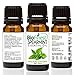 BioFinest Spearmint Oil - 100% Pure Spearmint Essential Oil - Premium Organic - Therapeutic Grade - Best For Aromatherapy - Boost Digestion - Muscle Soothing - FREE E-Book (10ml)