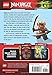 The New Ninja (LEGO Ninjago: Chapter Book #9)