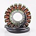 RMSTATOR Replacement for Generator Stator Kawasaki Ninja 250 R 250R 2008-2012 | OEM Repl.# 21003-0074/21003-0114