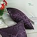CaliTime Pack of 2 Cushion Covers Throw Pillow Cases Shells for Home Sofa Couch Modern Shining & Dull Contrast Quatrefoil Accent Geometric 20 X 20 Inches Deep Purple