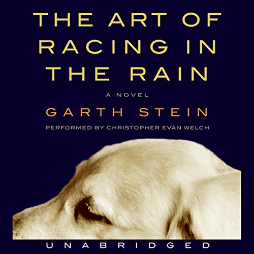 Download The Art of Racing in the Rain