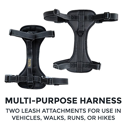 Mighty Paw Dog Car Harness - Vehicle Safety Gear - 2 Leash Attachment - Adjustable Straps - Reflective Stitching - Soft Padding - Standard Harness Functionality - No Pull Front Leash Attachment - L