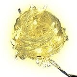Sungluber LED String Lights,33 ft 100 LEDÂ Bulbs StringÂ Fairy ClearÂ WarmÂ WhiteÂ WireÂ LightsÂ SetÂ with Certified Adapter for Outdoor,ChristmasÂ tree,Wedding,Party