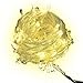 Sungluber LED String Lights,33 ft 100 LED Bulbs String Fairy Clear Warm White Wire Lights Set with Certified Adapter for Outdoor,Christmas tree,Wedding,Party
