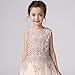 Little Toddler Flower Girl Dress for Wedding Prom Party Short Champagne Tulle Hollow Flower Girls Dresses (Champagne, 4)