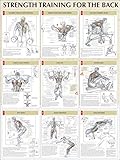 Strength Training Anatomy: Strength Training for the Back Poster by