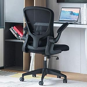 Sytas Office Chair Ergonomic Desk Chair Computer Task Mesh Chair with Flip-up Arms Lumbar Support and Adjustable Height，Black
