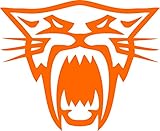 Pair of Arctic Cat Head Decal Sticker (Orange)