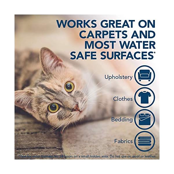 Simple Solution Extreme Cat Stain and Odour Remover | Enzymatic Cleaner with 3X Pro-Bacteria Cleaning Power - 500ml