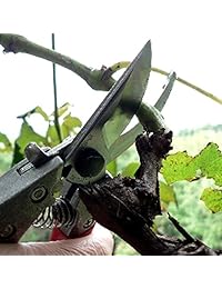ARS Heavy Duty Mano Pruners