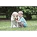 KONG Classic Stuffable Dog Toy - Fetch & Chew Toy for Dogs - Treat-Filling Capabilities & Erratic Bounce for Extended Play Time - Durable Natural Rubber Material - for XX-Large Dogs
