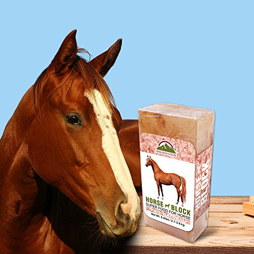 Himalayan Nature 100 Natural Himalayan Rock Salt Block Mineral Salt