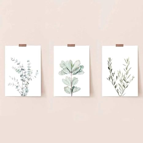 Amazon 植物ポスター写真植物葉キャンバスポスター北欧風プリントウォールアート絵画絵画ミニマリスト家の装飾15 7インチx 19 6インチ 40 X 50 Cm X 3個枠なし ウォールステッカー オンライン通販