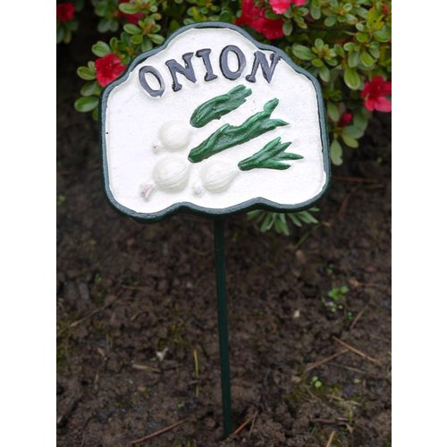Brown & Ginger Colourful Hand-Painted Veg Signs - Various Styles Available (Onion)