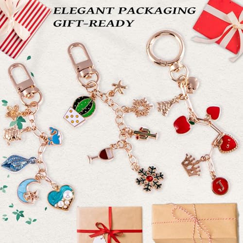 325Pcs Keychain Making Kit, Including 20 Keychain Clips 25 Extender Chain 118 Charms Jewelry Plier, Bag Charm Kit, Keychains Making Supplies for DIY Crafting