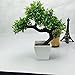 Artificial Plants Guest Greeting Pine Bonsai home decoration by Ebow