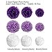 Tissue Paper Pom Poms, Recosis Paper Flower Ball for Birthday Party Wedding Baby Shower Bridal Shower Festival Decorations, 18 Pcs - Purple, Lavender and White