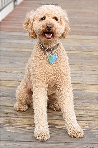 cat mate programming