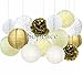 Sopeace 15 Pcs Pcs Cream Gold White Tissue Pom Poms Paper Flowers Paper Lanterns for Birthday Party Decoration