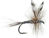 Feeder Creek Fly Fishing Flies for Trout | Adams