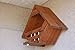 Lovey Dovey Original Dovehouse