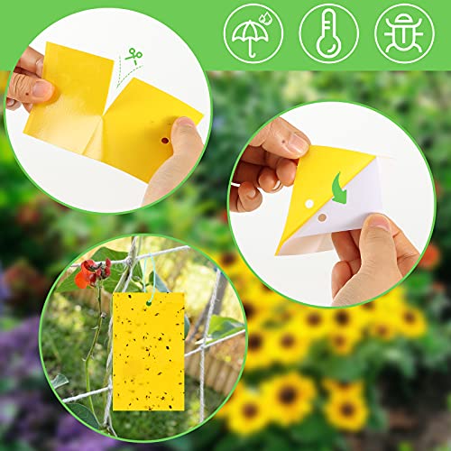 HAKACC Yellow papaer sticky Fly Traps,40PCS Dual-Sided Fruit Fly Sticky Board for Home Use Indoor Outdoor Plant Multiple Insect